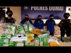 SABU BERNILAI MILIARAN DIAMANKAN DI DUMAI DAN PEKANBARU